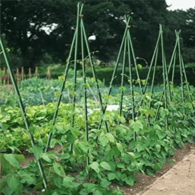 Fiberglass Round Rod,Dark Green,10 Sticks (Option: Dark green)